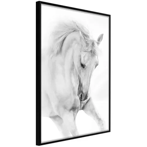  Poster - Beauty in Motion 40x60