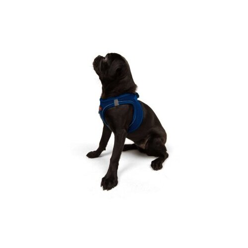 Paws &amp;amp; Whiskers am za pse air-mesh, plavi Slike