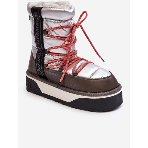Kesi Women's snow boots with thick soles, Vegan D.Franklin Silver Cene
