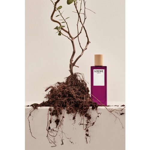 Loewe Earth parfemska voda uniseks 100 ml Slike