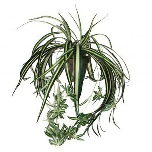  Umjetna biljka (Visina: 45 cm, Zelene boje, Plastika) Cijene