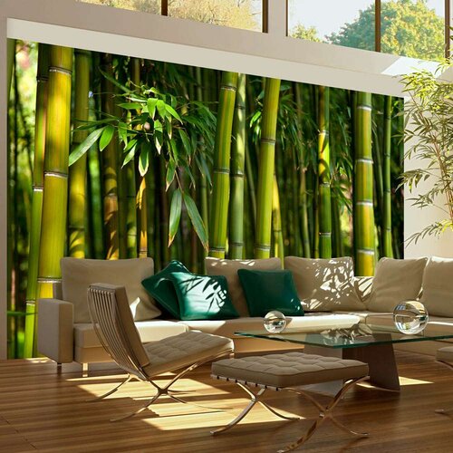  Tapeta - Asian bamboo forest 450x270 Slike