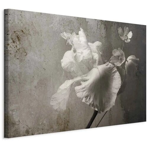  Slika - Venetian Splendor (1 Part) Wide 30x20 Cijene