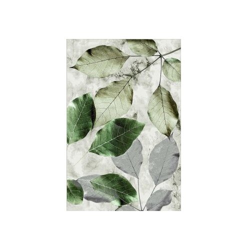 Conceptum Hypnose tepih Hmnt571, 80x200cm, šareni Cene