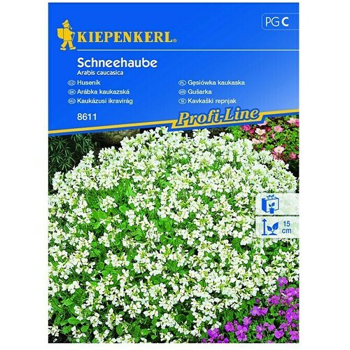 KIEPENKERL Profi-Line Sjeme cvijeća Gušarka Schneehaube (Arabis Caucasica, Bijela) Cijene