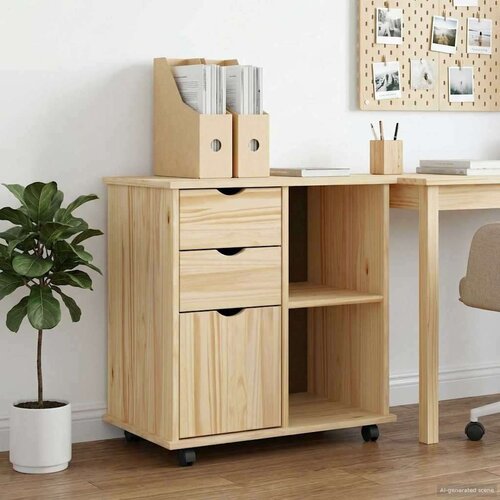  Gležnji kabinet Rjava 63,5 x 39 x 65,5 cm Masivno borovo les, (5000232315) Cene