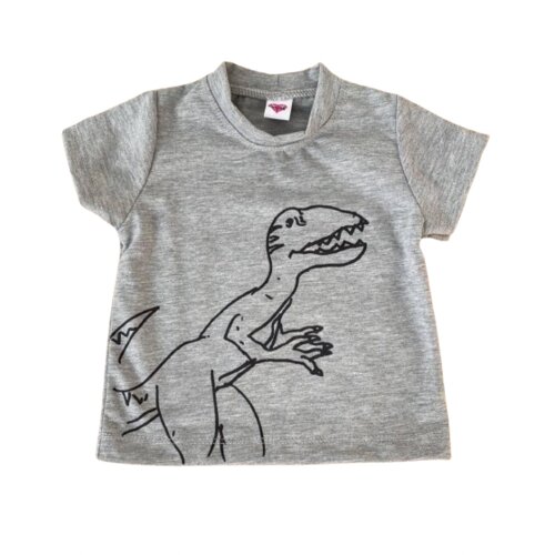 Divars Majica za dečake sa &scaron;tampom Dinosaurus, Siva Cene
