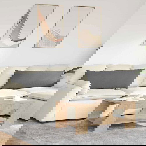 vidaXL Blazine za kavč 2 pcs Temno siva 120 x 40 cm blago Cene