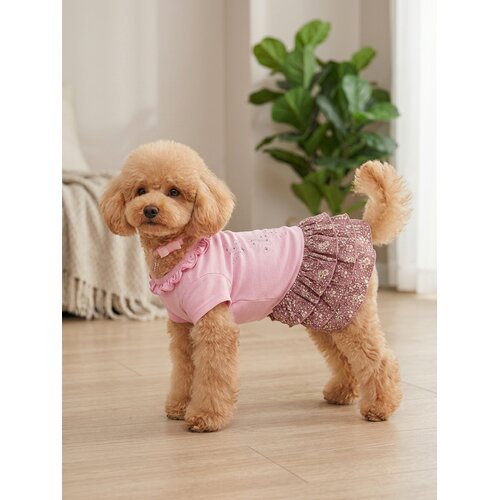 Doggydolly HALJINICA za psa vel.L 33cm Cene