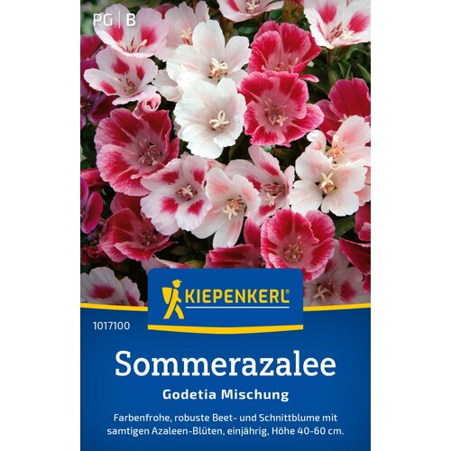 KIEPENKERL Godetia - mešanica - 1 pkt. Cene