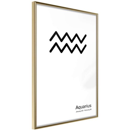  Poster - Zodiac: Aquarius II 40x60 Slike