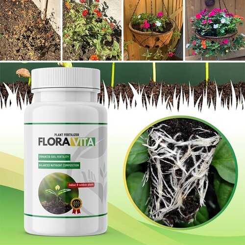  Gnojilo za rastline floravita Cene