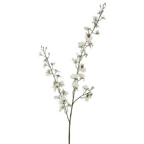  Umjetni cvijet Oncidijum (Visina: 78 cm, Blanca, Plastika) Cene