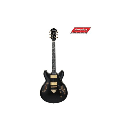  GITARA ELEKTRIČNA IBANEZ AS93SP BK Cijene