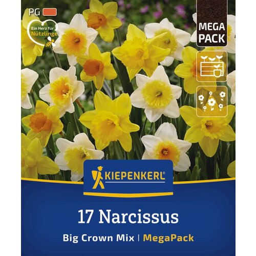 KIEPENKERL Mega pakiranje narcis &amp;quot;Big Crown Mix&amp;quot; - 17 k. Slike