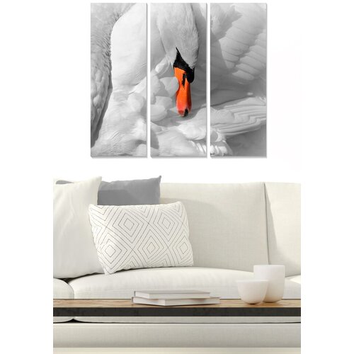 Wallity Set slika MDF1953231, 3 dijela Cene