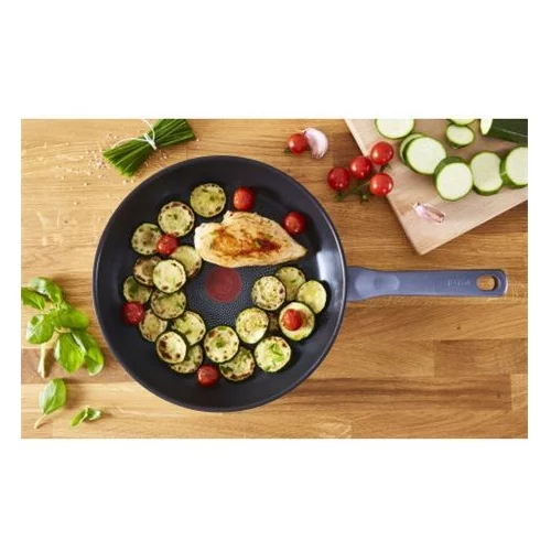 Tefal PONEV 24 CM DAILY COOK