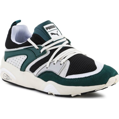 Puma Nizke superge Blaze Of Glory PRM Black / Varsity Green 387575-02 Večbarvna Cene