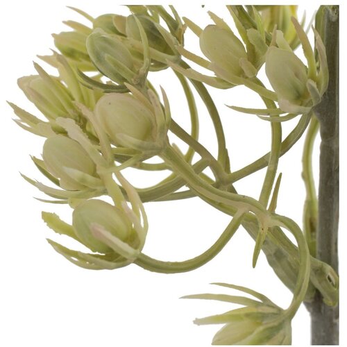 Ixia Umjetna grančica (visina 55 cm) &amp;ndash; Slike