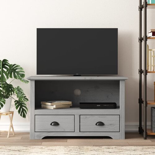 The Living Store TV omarica 2 predaloma BODO siva 91,5x44,5x56 cm trdna borovina - TV Omarica, (21624942) Cene
