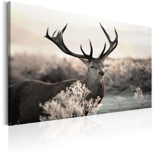  Slika - Powerful Horns 120x80 Cijene