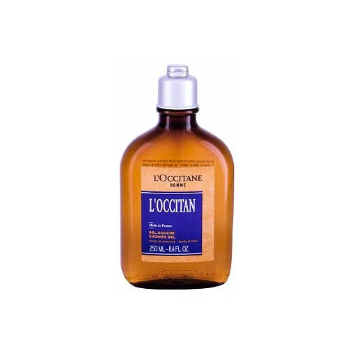 L'occitane For Men osvježavajući gel za tuširanje 250 ml za muškarce