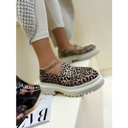17704 - kožne cipele meena leopard - bež Slike
