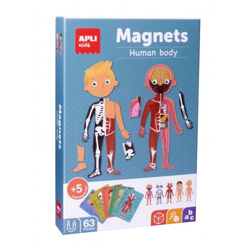 Apli Komplet magneti človeško telo, (20372592) Cene