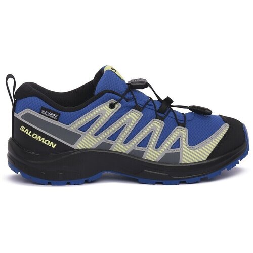 Salomon Nizke superge Xa Pro V8 Wp pisana Cene