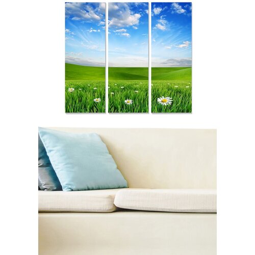 Wallity Set slika MDF44845879, 3 dijela Cijene