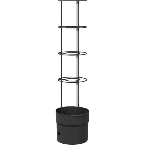  Uzgajivač rajčice Crna &amp;Oslash; 32 x 127 cm PP Slike