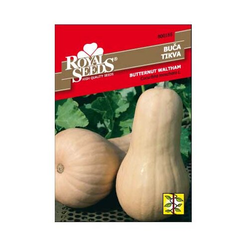 ROYAL SEEDS Sjeme povrća 165 TIKVA BUTTERNUT WALTHAM Cijene