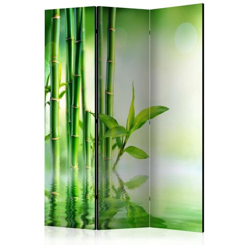  Paravan u 3 dijela - Green Bamboo [Room Dividers] 135x172 Cijene