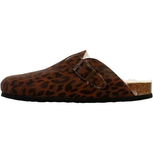 Plakton Natikači 269835 Večbarvna Slike