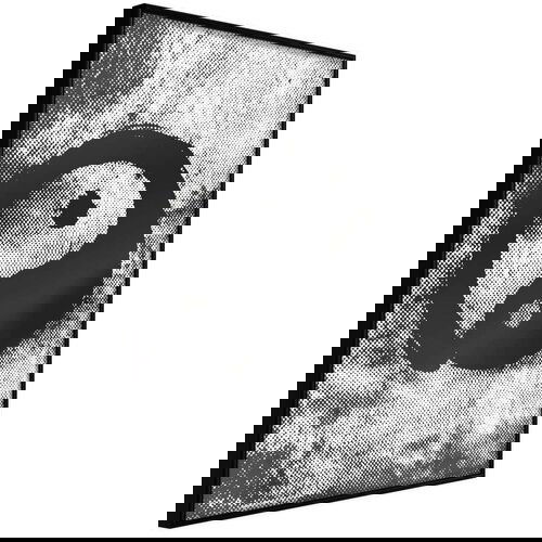  Poster - Complementarity of Opposites 30x45 Slike