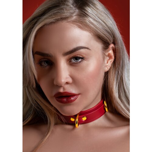 Taboom Bondage in Luxury D-Ring Collar Deluxe Red Cijene