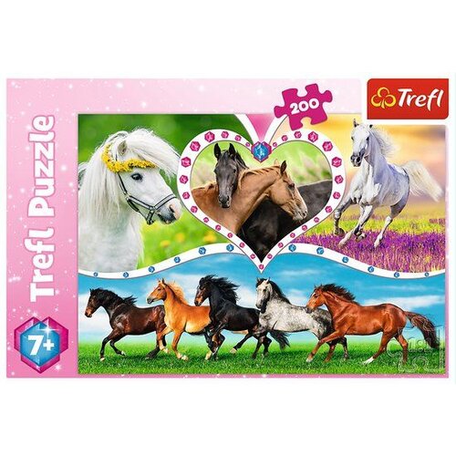 Trefl Puzzle Konji - 200 delova Slike