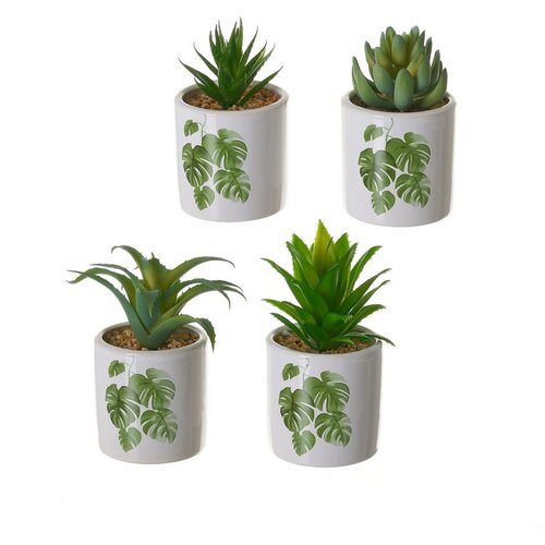 Casa Selección Umjetne biljke u setu 4 kom Cactus – Cijene