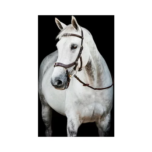 Horseware Ireland Uzda Micklem 2 Multi Bridle, dark havana - Standard Horse