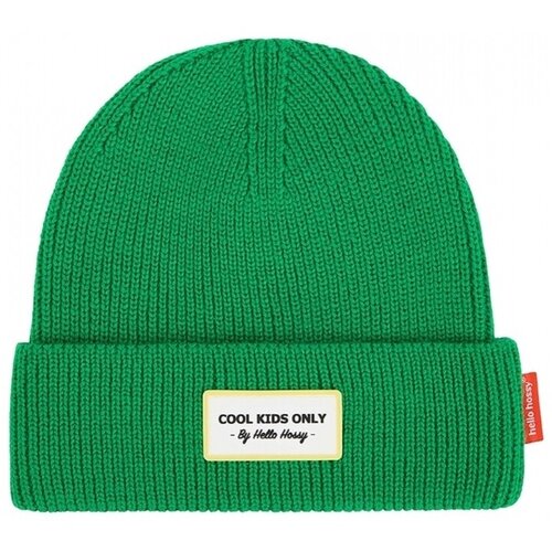 Hello Hossy Pop Dads Beanie - Croco Zelena Cijene