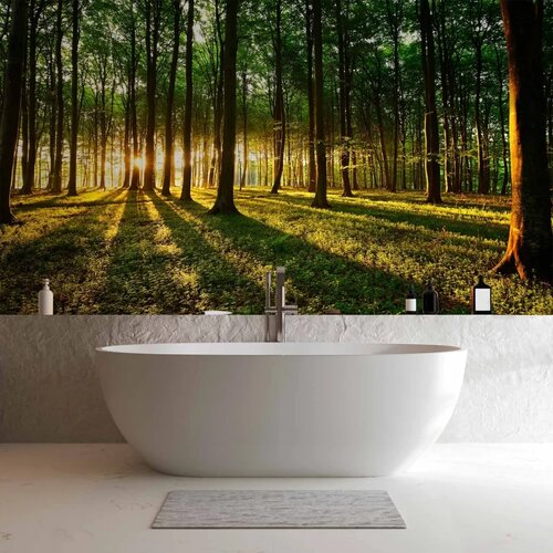  Foto tapeta - Spring: Morning in the Forest 150x105 Vodootporna Slike