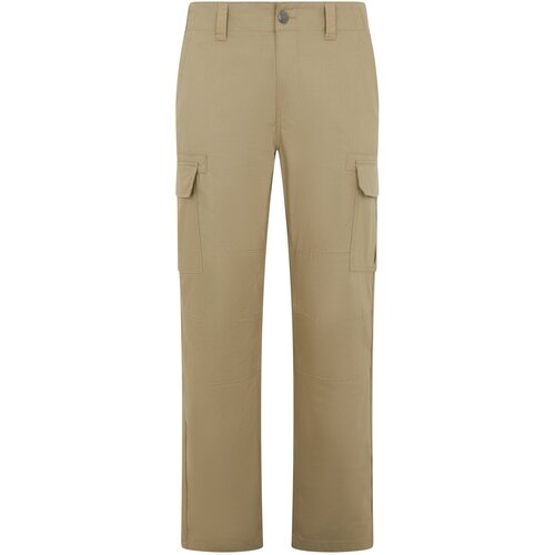 Dickies MILLERVILLE Bež Cijene