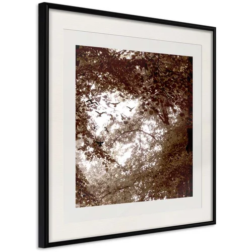  Poster - In the Shade of Trees 30x30