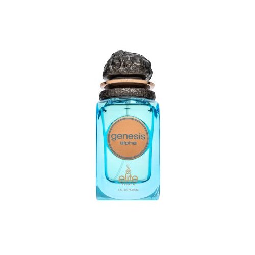Risala Elite Genesis Alpha parfumirana voda za mo&scaron;ke 100 ml Cene