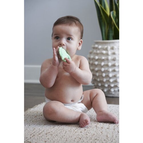 Melii Teethers grizalo Dino &amp;amp; Shark 2 kos Slike