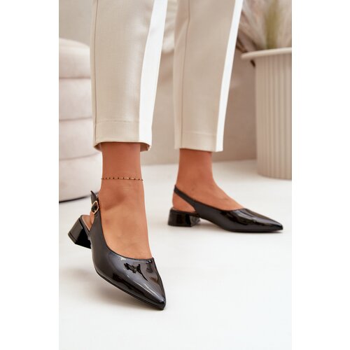 Boto Lacquered Ballerinas On Low Heel With Pointed Toes Black Anarinne Cene
