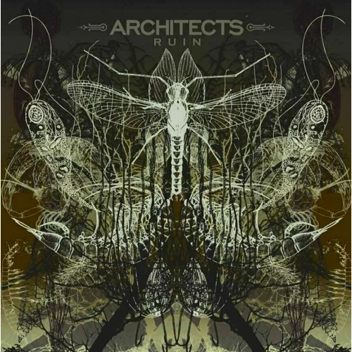 Architects Ruin (LP)