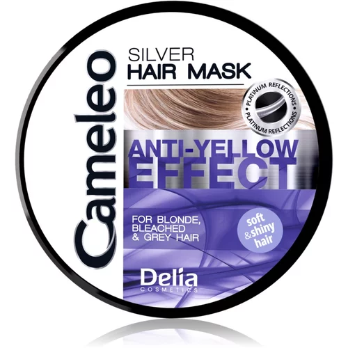 Delia Cosmetics Cameleo Silver maska za kosu neutralizirajući žuti tonovi 200 ml