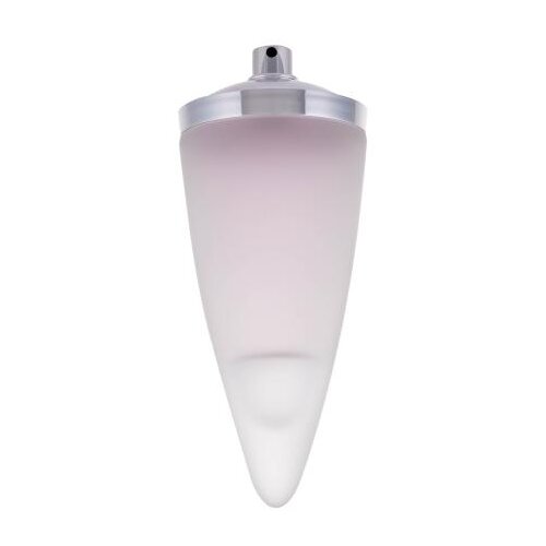 Rochas Man 100 ml toaletna voda Tester za mo&amp;scaron;ke Slike