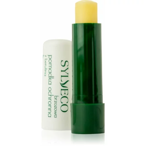 Sylveco Lip Care zaštitni balzam za usne sa shea maslacem 4,6 g